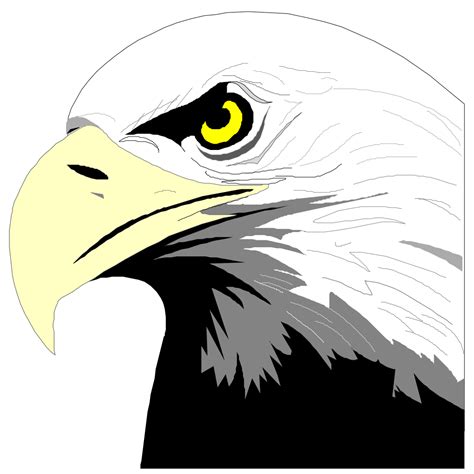 Bald Eagle Head Png Svg Clip Art For Web Download Clip Art Png Icon