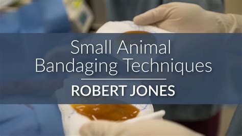 Module 1 Bandaging Small Animal Bandaging Techniques Robert Jones