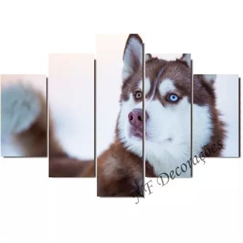 Quadro Husky Siberiano Decorativo Filhote Cachorro Mmmdf