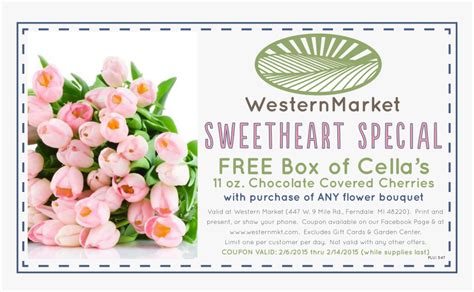 Coupon Cut Out Png Transparent Png Kindpng