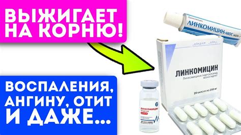 Взял в аптеке за копейки! Линкомицин как клещи тянет гной из фурункулов ...