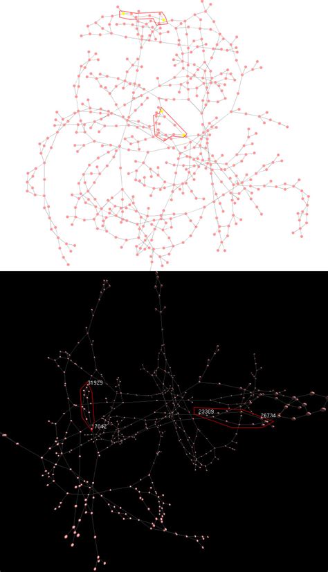 Visualization of de Bruijn graphs converted from velvet. Comparing 2D ...