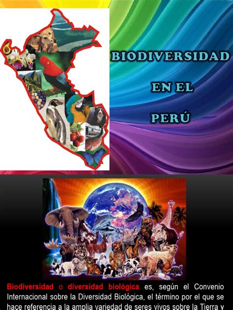 Biodiversidad En El Peru Pdf Biodiversidad Ecosistema