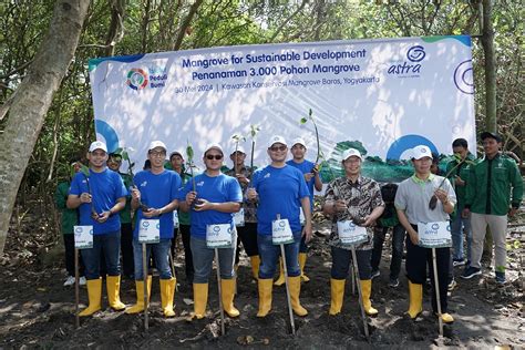 Asuransi Astra Tanam 3 000 Pohon Mangrove Di Yogyakarta