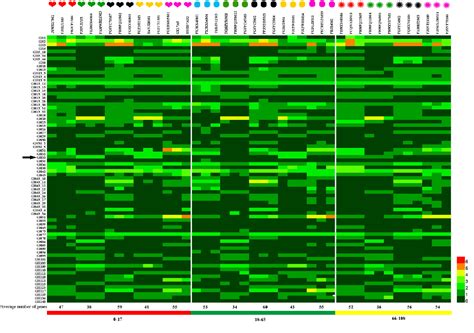 Figure From Genetic Phenotype Analysis Of Bifidobacterium Bifidum And