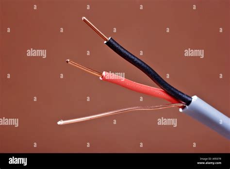 Twin Core And Earth Electrical Cable Wire Stock Photo Alamy