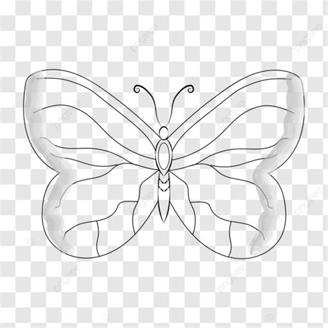 Hand Drawn Butterfly Illustration Vector Butterfly Liner Line Art