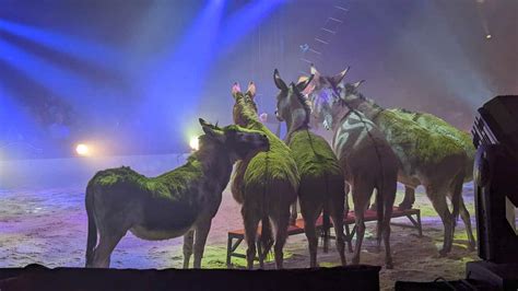 Circus Louis Knie Kommt Mit Neuem Programm Nach Graz Schwarzlsee