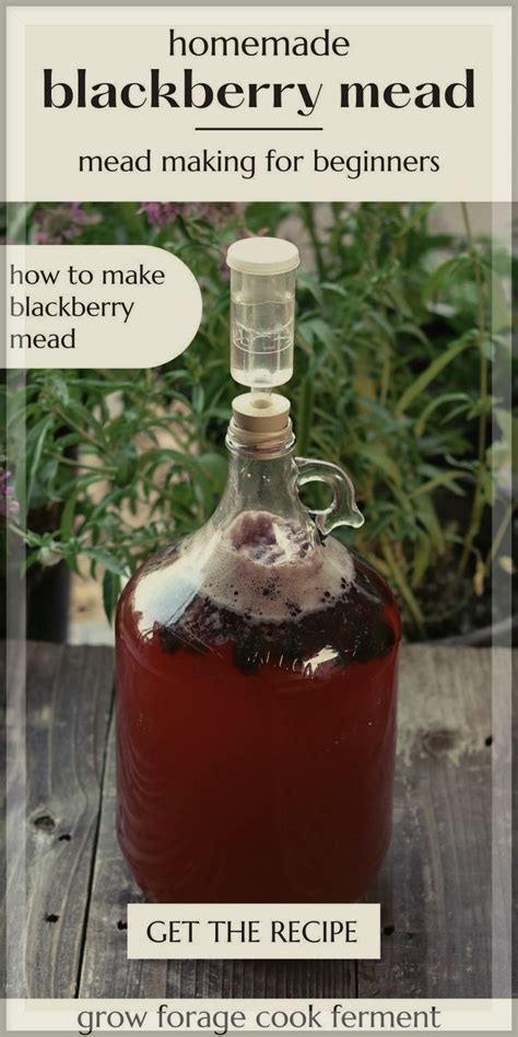 Blackberry Mead One Gallon Recipe Recipe Mead Wine Recipes Mead Recipe Brewing Recipes