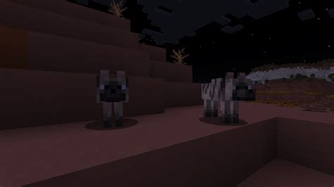 All Spawn Biomes For The New Wolves In Minecraft