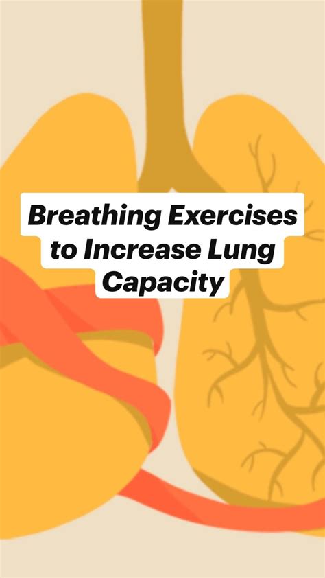 Breathing Exercises To Increase Lung Capacity Artofit