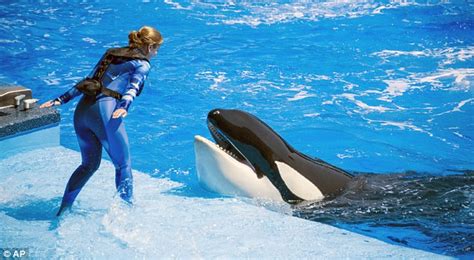 SeaWorld employees now wearing safety vests four years after trainer's ...