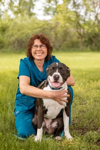 Veterinarian In Owosso Mi 48867 Pinecrest Animal Hospital