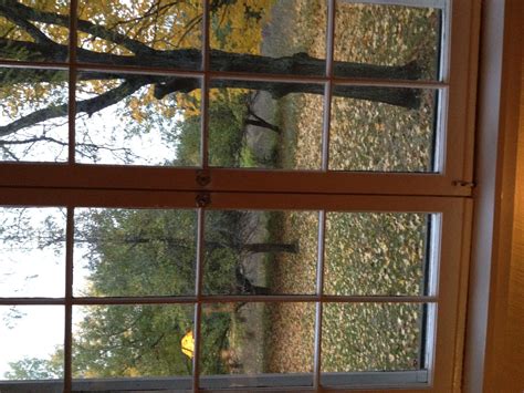 The wadsworth longfellow house all you need to know before you go 2024