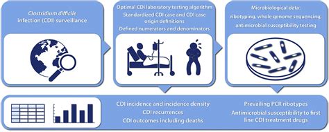 How To Surveillance Of Clostridium Difficile Infections Clinical