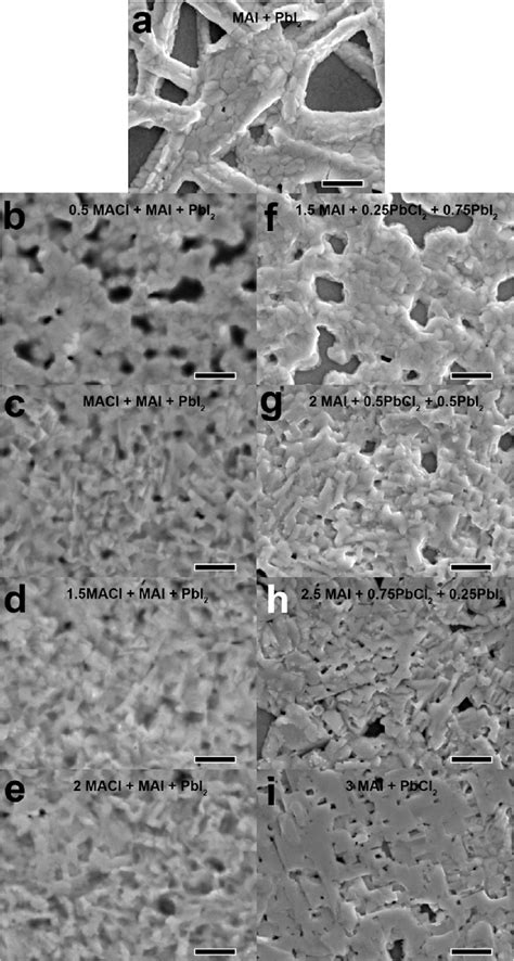 Figure 2 From Role Of Chloride In The Morphological Evolution Of Organo