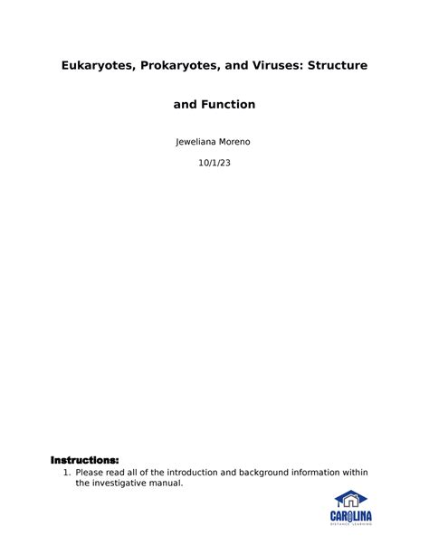 Lab Report Eukaryotes Prokaryotes And Viruses Jm Eukaryotes