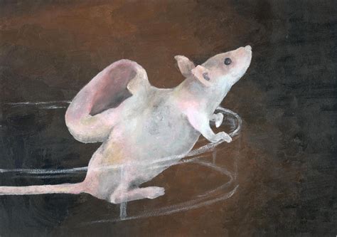 The Incredible Ear Mouse By Chicken Sanga24 On Deviantart