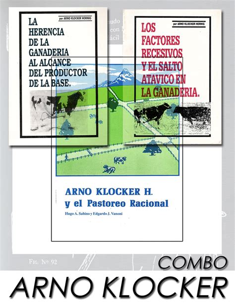 COMBO ARNO KLOCKER ORIENTACION GRAFICA EDITORA