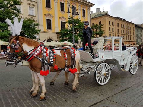 Cracovia super star. La città polacca conserva capolavori d’arte unici ...