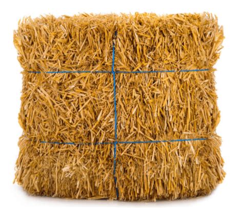 Wheat Straw Exporters In Pakistan Saremco International