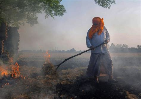 Why Punjab Haryana Farmers Are Defying Ban On Stubble Burning India News