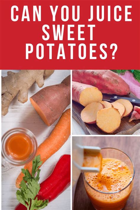 Can You Juice Sweet Potatoes In 2024 Sweet Potato Juice Sweet Potato Benefits Juicing Recipes