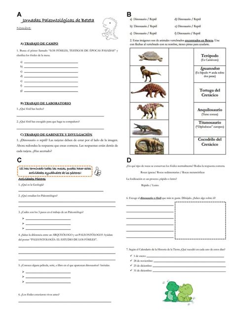 A D Fichas Para Rellenar Por Los Participantes En La Actividad