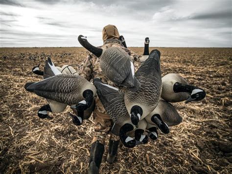 Goose Hunting Tips and Tactics | Outdoor Life