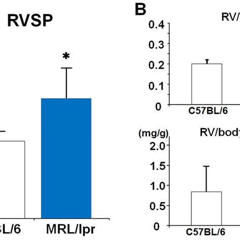 Measurement Of Rvsp And Ventricular Weight In Mrllpr Mice Rvsp In Download Scientific Diagram