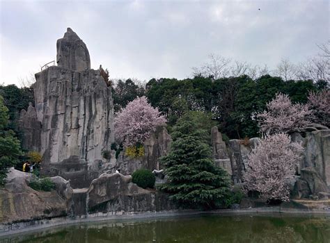 THE 15 BEST Things to Do in Hefei (2025) - Must-See Attractions