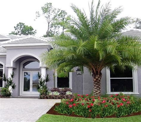 16 Palm Tree Landscaping Ideas Front Yard Garden Design