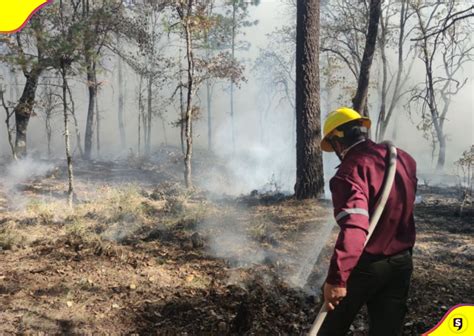 Incendios Forestales Acaban Con M S De Hect Reas En Hidalgo