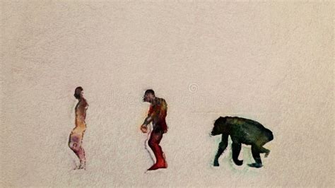 Human Evolution Timeline Pencil Sketch Seamless Loop Stock Footage ...