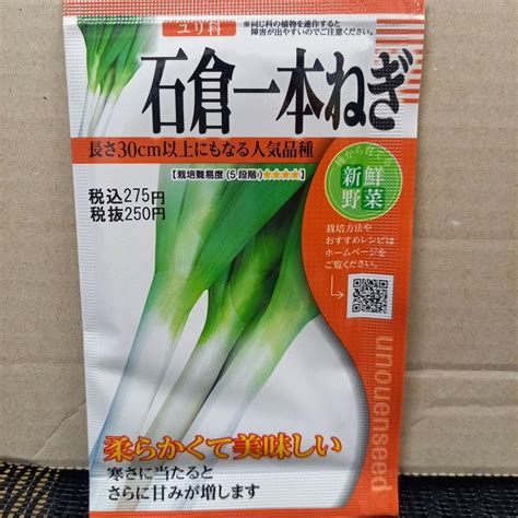 未開封＜野菜の種＞1000粒以上 石倉一本ねぎ 7ml 固定種 ネギ メルカリ