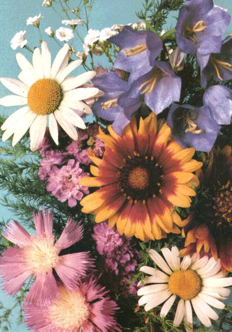flower gif on Tumblr