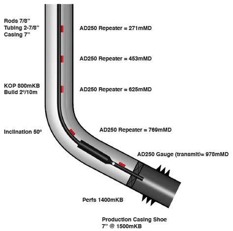 Ad250 Case Study 5 Ad250 Wireless Downhole Gauge For Reservoir