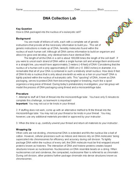 Dna Collection Lab Jjbjb Dna Collection Lab Key Question How Is Dna