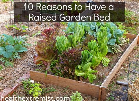 10 Benefits Of Raised Garden Beds And How To Make One