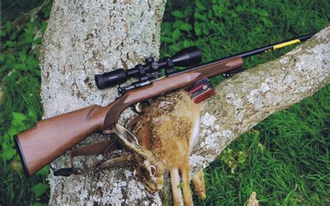 The 8 Best Scopes For 17 Hmr Rifles In 2025 January Tested