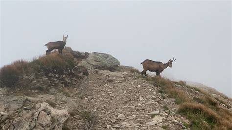 Tatry Zachodnie sierpień 2022 Wołowiec Łopata Jarząbczy Wierch Kopa