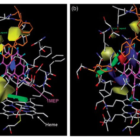 Structure of P450 enzyme 1A2 inhibitors belonging to nine core... | Download Scientific Diagram