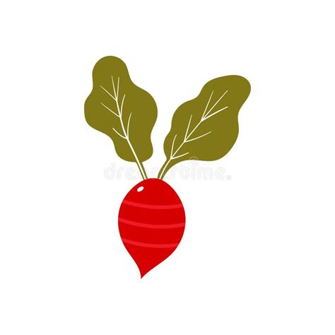 Red Radish Vector Design Template Illustration Stock Vector