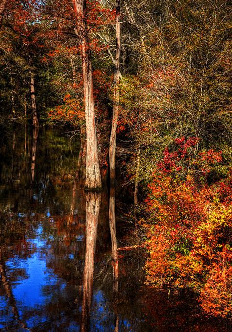 Fall Colors Photograph by Ester McGuire | Fine Art America