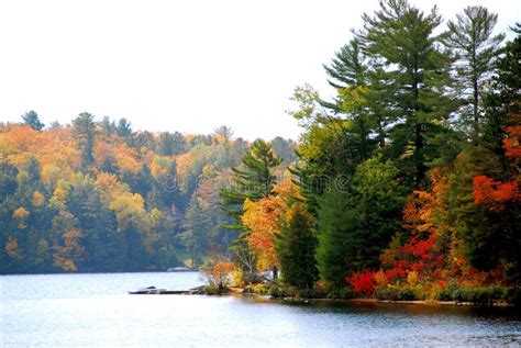 Autumn lake stock image. Image of landscape, ontario, nature - 1344921