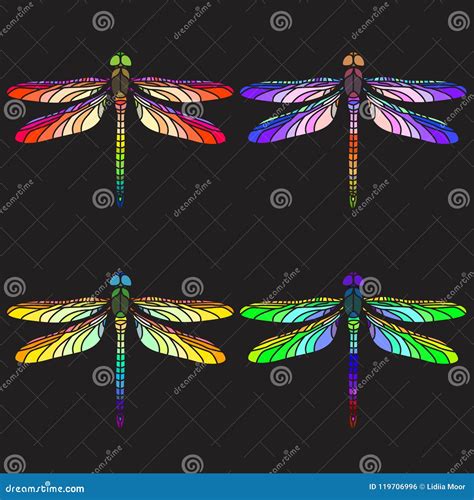 Bright Colourful Dragonflies Stock Vector Illustration Of Glass