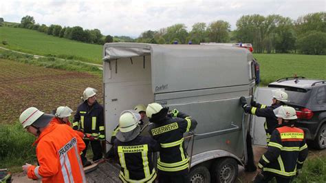 Fotos Feuerwehr Befreit Eingeklemmtes Pferd