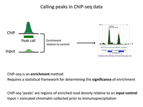 PPT ChIP Seq And Related Applications PowerPoint Presentation Free