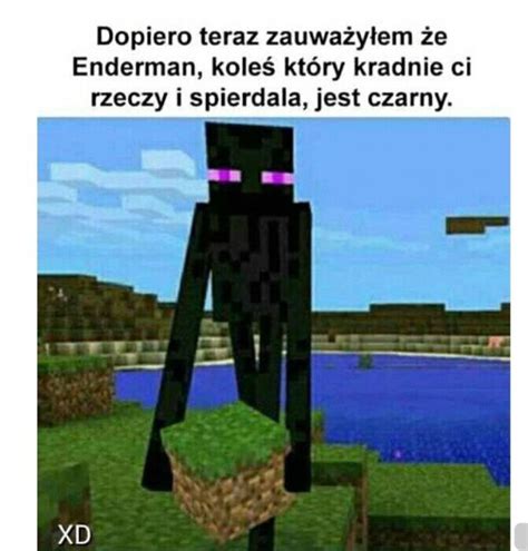 Memy Z Neta Minecraft Samequizy