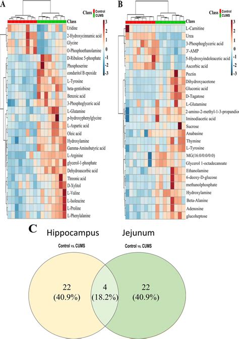 Heatmap Of Identified Differential Metabolites With Hippocampus A And